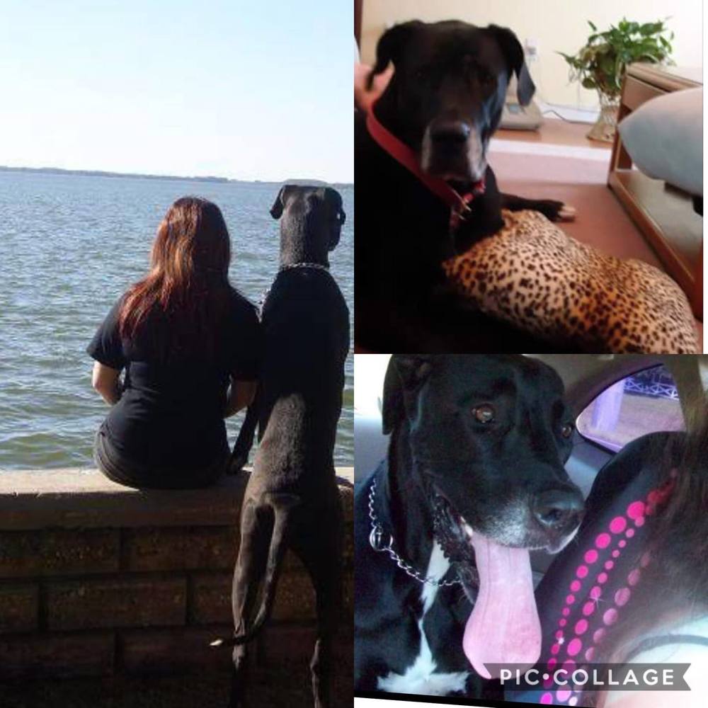 Meet your Posher, Molly